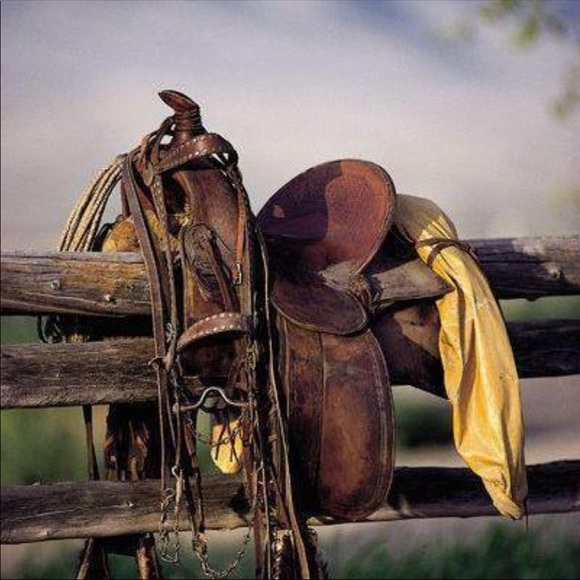 Meet your Posher, Armando - Picture 1 of 1